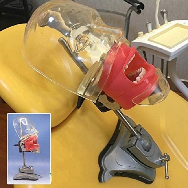 MÔ HÌNH THỰC HÀNH NHA KHOA