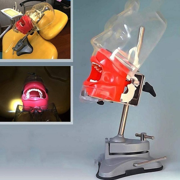 MÔ HÌNH THỰC HÀNH NHA KHOA