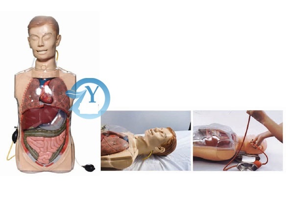 MÔ HÌNH THỰC HÀNH RỬA DẠ DÀY