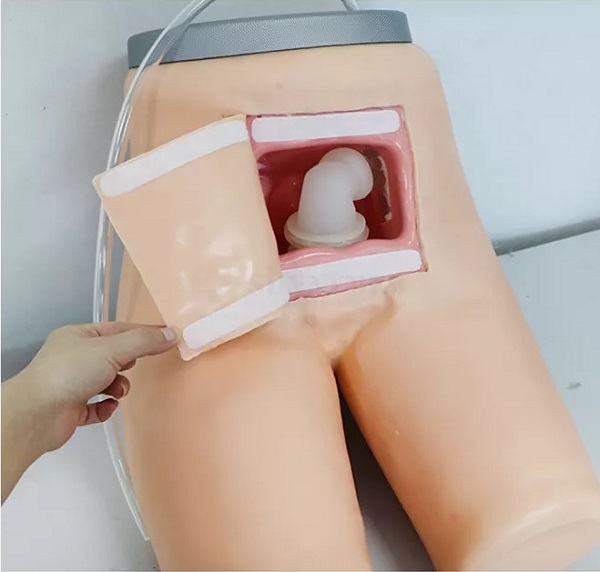 mô hình thực hành thụt tháo