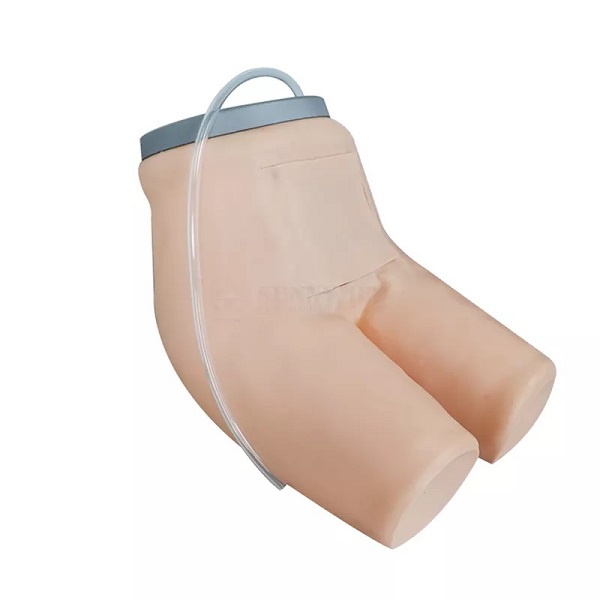 mô hình thực hành thụt tháo