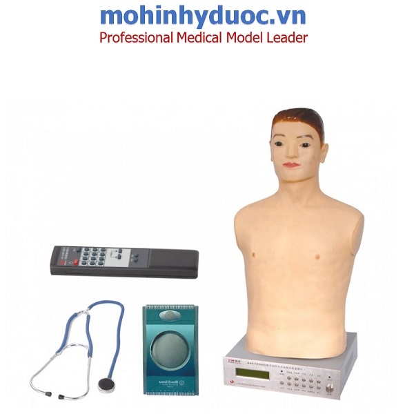 MÔ HÌNH THỰC TẬP NGHE TIM PHỔI NGƯỜI LỚN