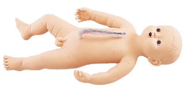 MÔ HÌNH TRẺ SƠ SINH M107-3|SAKAMOTO