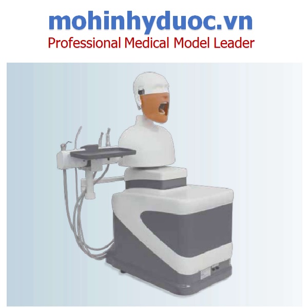 TRÌNH MÔ PHỎNG ĐÀO TẠO NHA KHOA NIS-SIM NISSIN