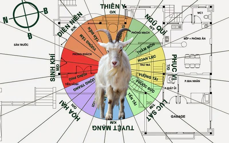 Lưu ý khi gặp hạn Tam Tai