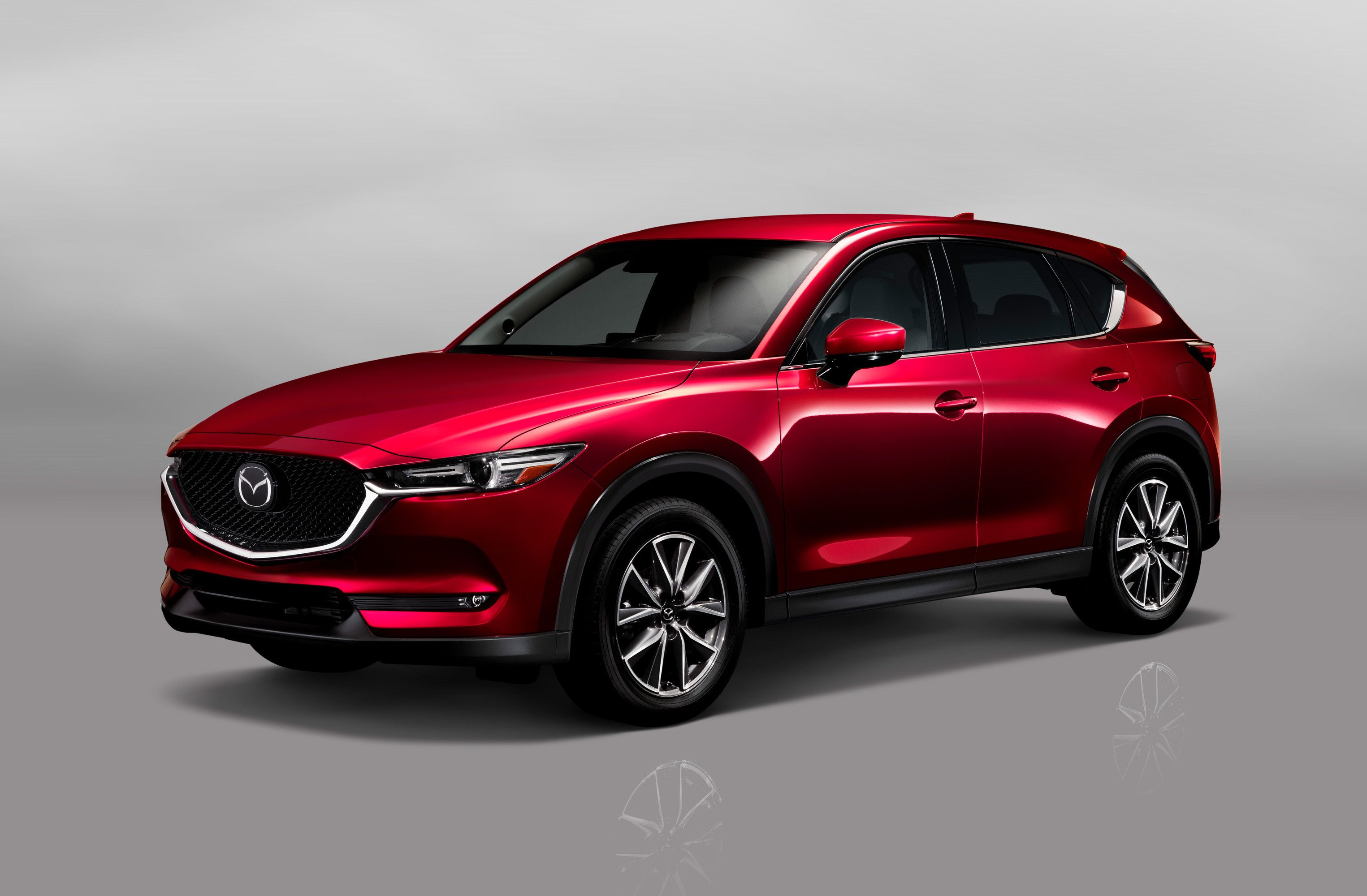 Tuổi Tân Mùi 1991 hợp xe màu gì?