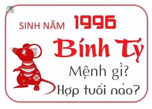 1996 hợp màu gì