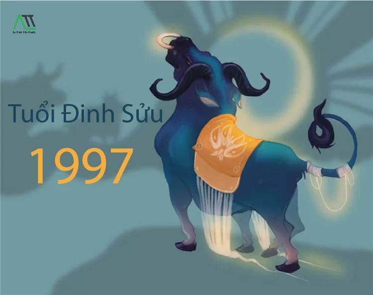 1997 hợp màu gì