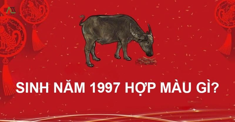 1997 hợp màu gì