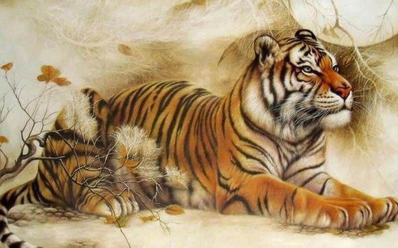 Con số may mắn dành cho tuổi Mậu Dần 1998