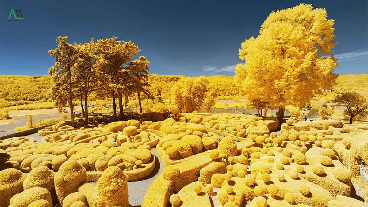 ý nghĩa của màu vàng kim