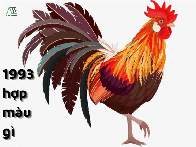 1993 hợp màu gì