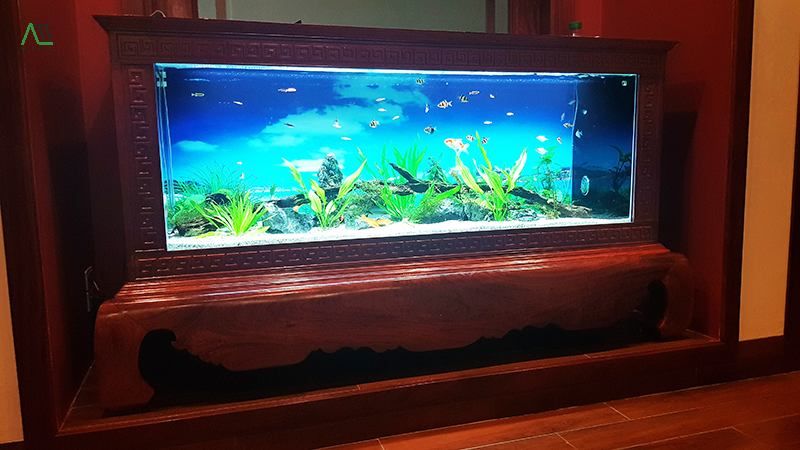 1993 hợp tuổi gì