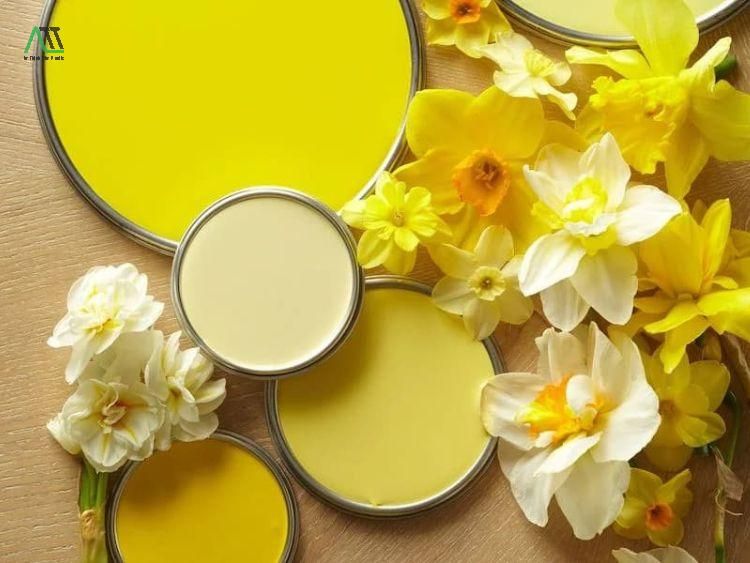 ý nghĩa của màu vàng kim