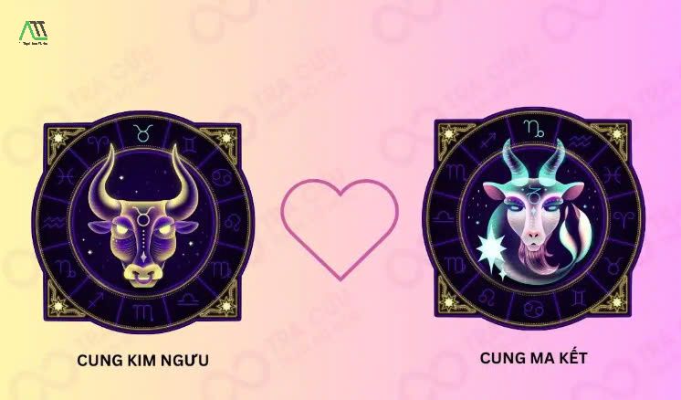 ma kết hợp với cung nào