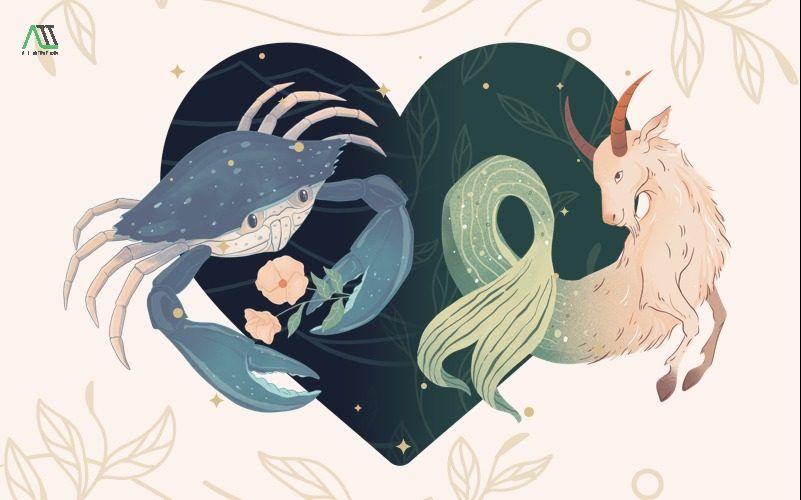 ma kết hợp với cung nào