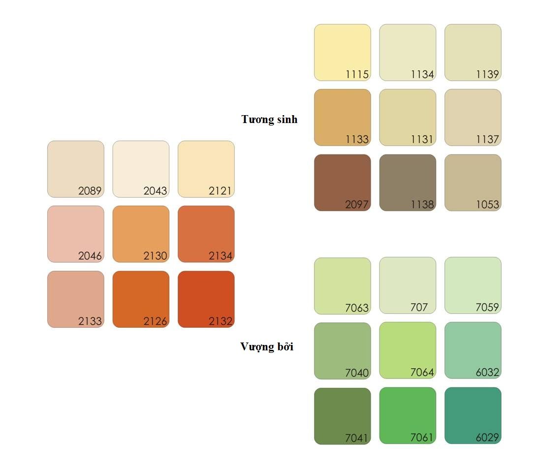 Người mệnh Hỏa hợp sơn màu gì?