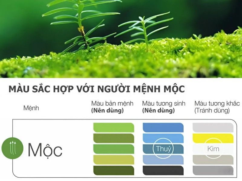 Nam, nữ mệnh Mộc hợp với màu gì