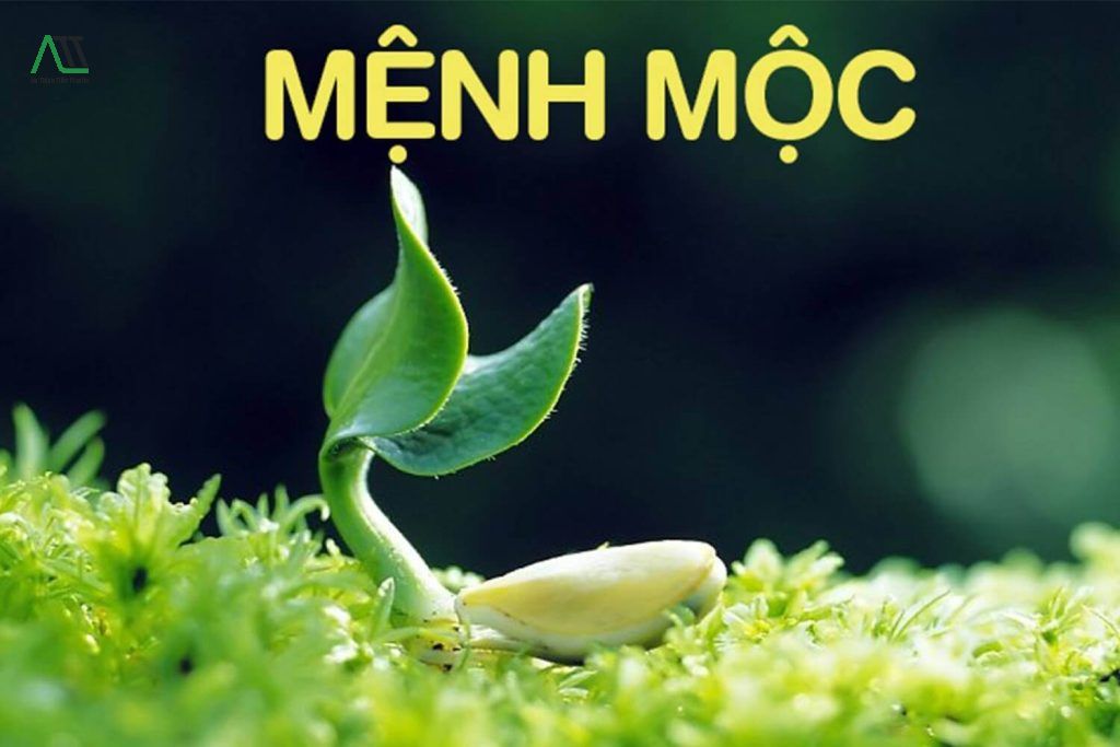 mệnh mộc ốp tường nhà màu gì