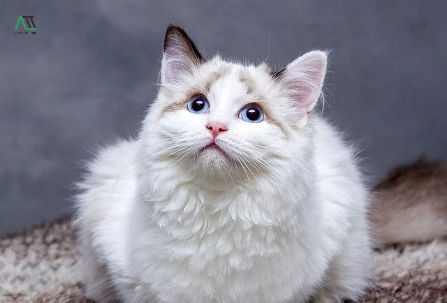 nam sinh năm 1963 mệnh gì