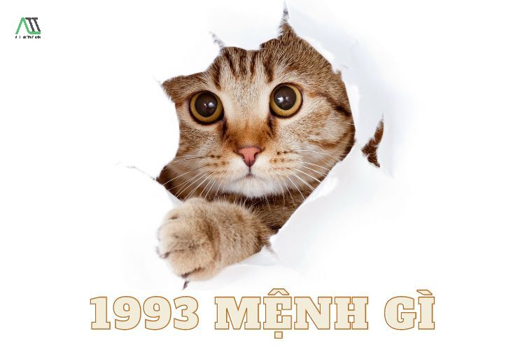 nam sinh năm 1963 mệnh gì
