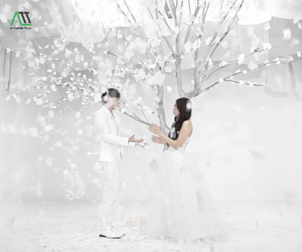 phong thủy màu trắng