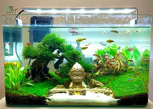 phong thủy nhà ở cho người mệnh mộc