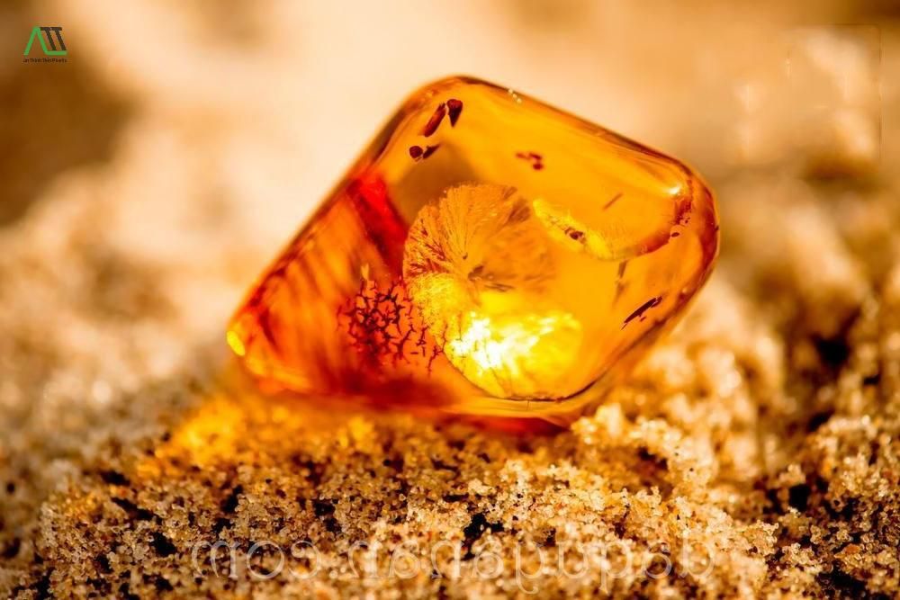 phong thủy nhà ở cho người mệnh Thổ