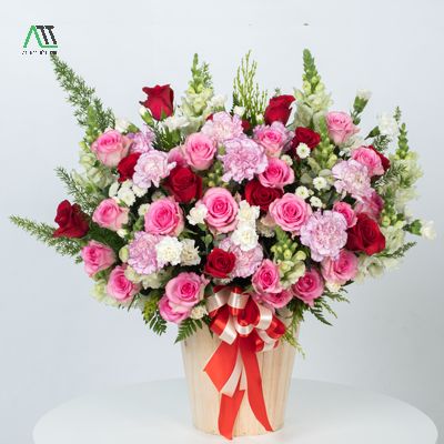 quốc tế phụ nữ 8/3