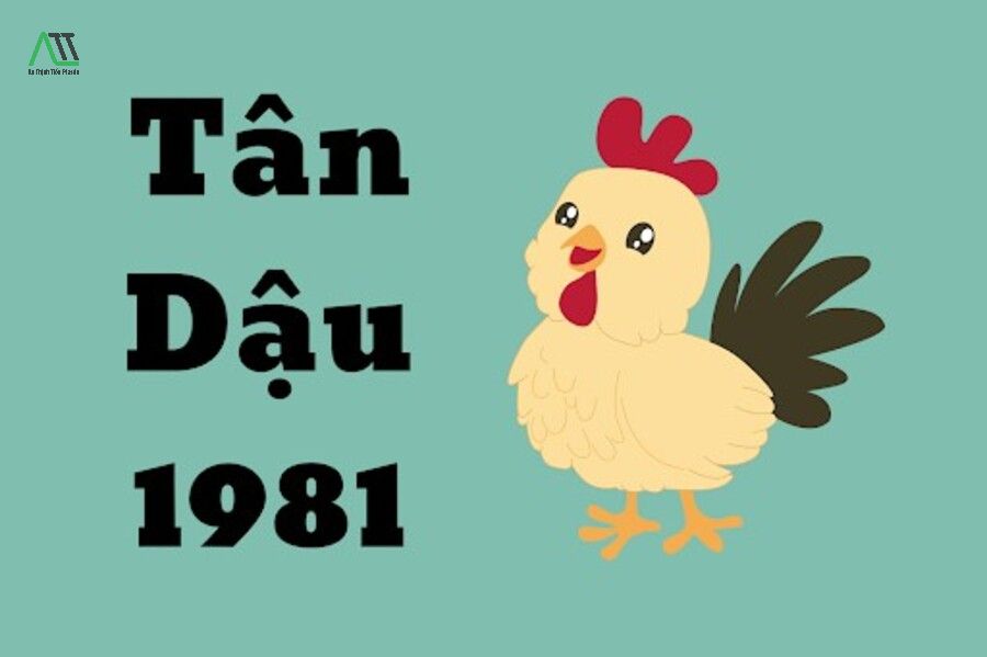 tân dậu 1981 hợp màu gì