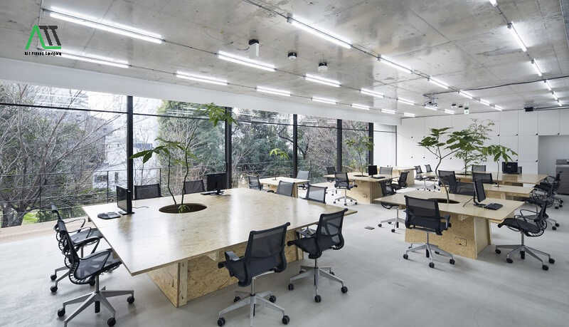thiết kế văn phòng không gian mở
