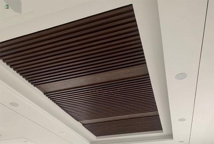 trần nhựa là gì