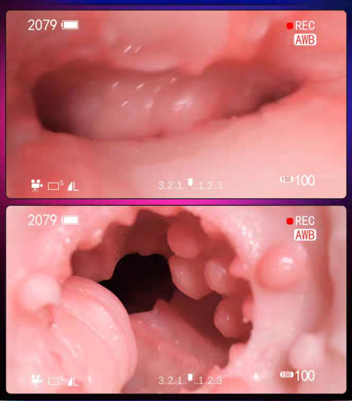 Khám Phá Cảm Giác Thăng Hoa Với Cốc Thủ Dâm 2 Đầu Âm Đạo Và Môi Chữ M