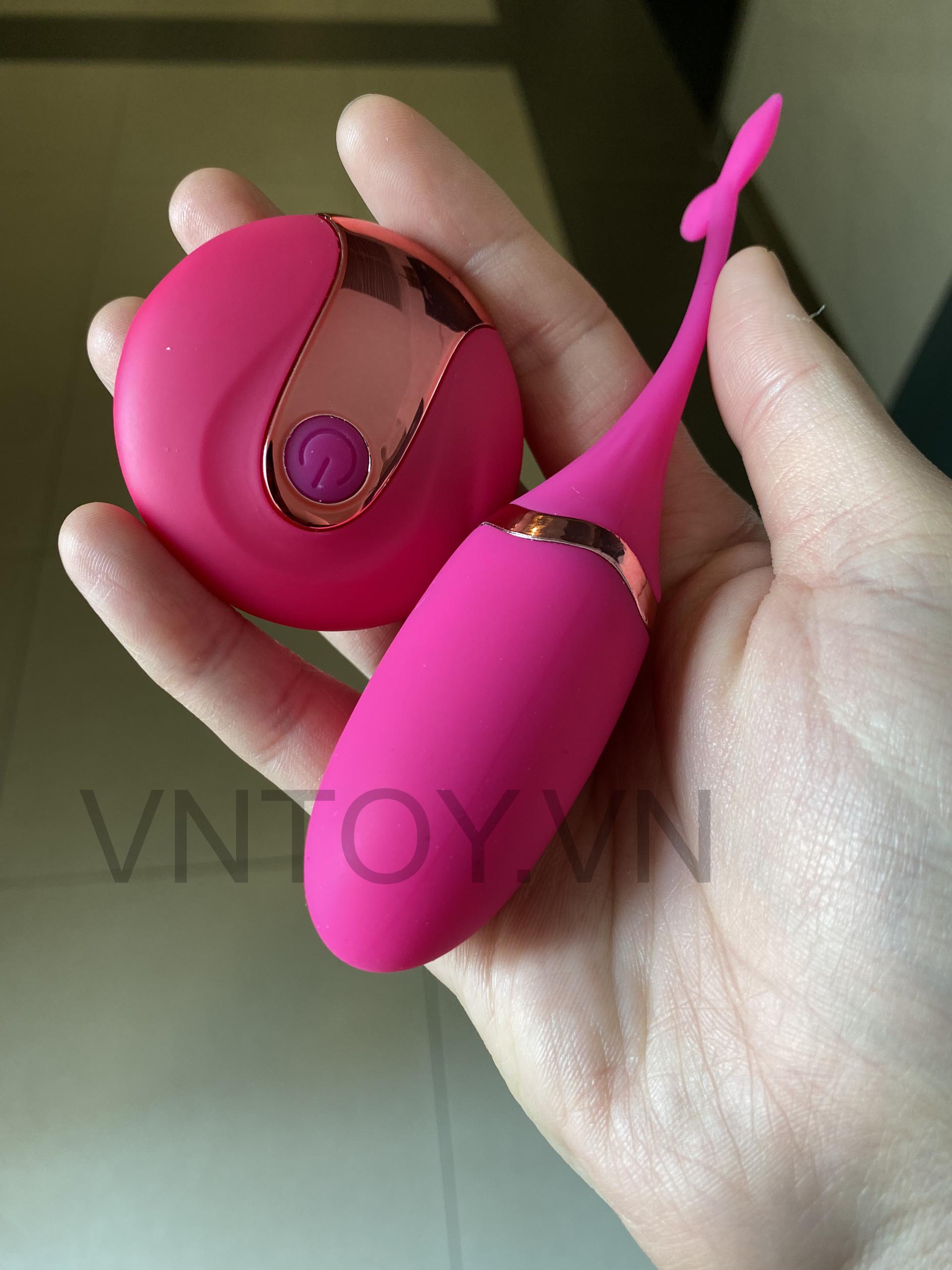 Trứng rung cá heo điều khiển từ xa có đuôi