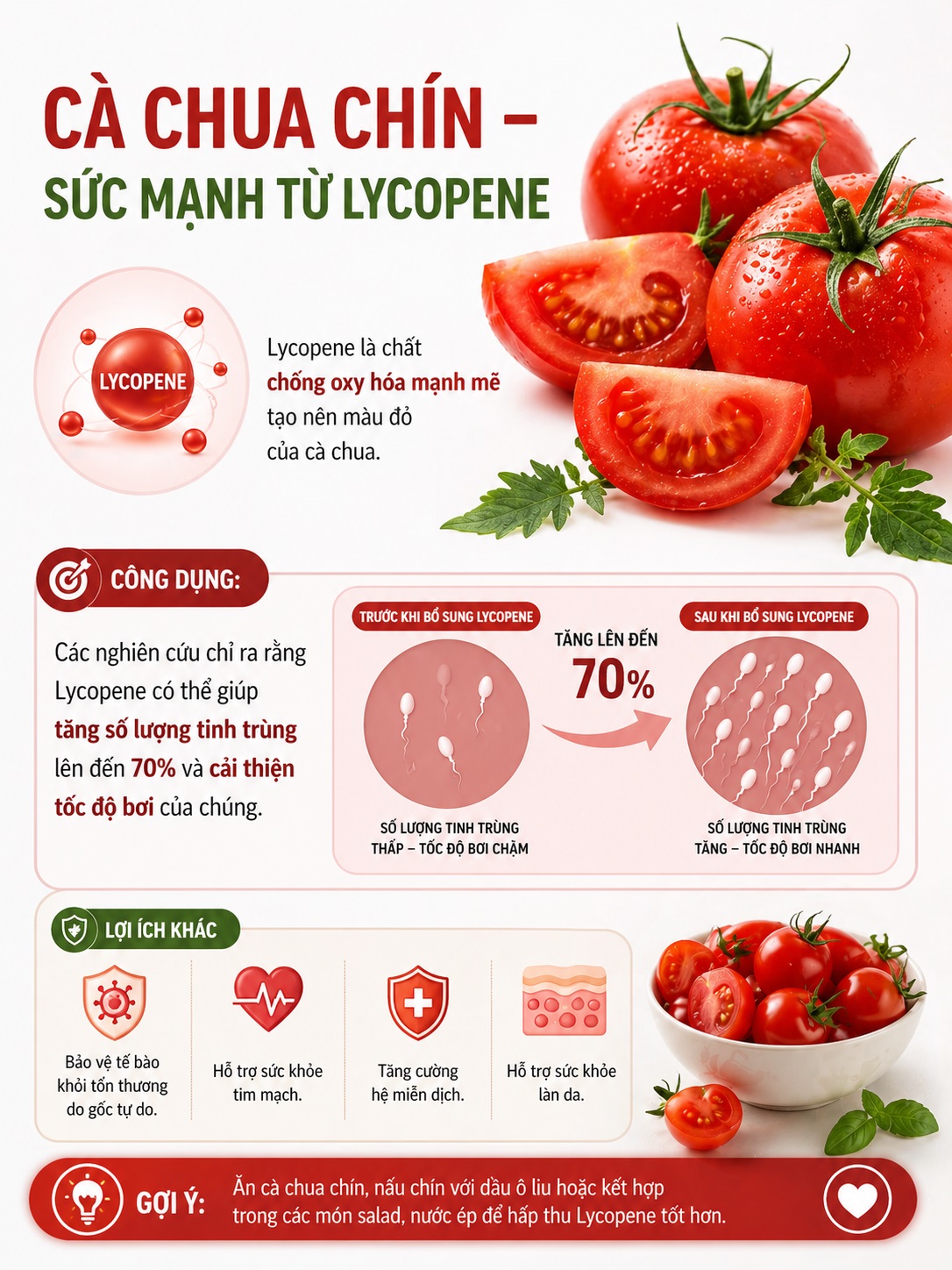 Ăn Gì Để Nhiều Tinh Trùng? Top 10 Thực Phẩm Nam Giới Nên Ưu Tiên