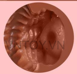 Âm đạo giả da đen phong cách hoang dại có hậu môn