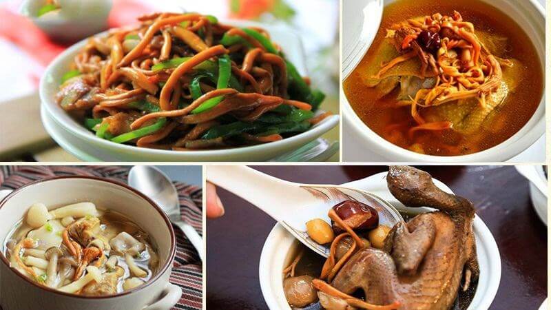 Đông Trùng Hạ Thảo Sấy Thăng Hoa – Cẩn Trọng Điều Gì Khi Dùng Để Tránh Tác Dụng Phụ?