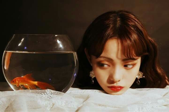 Liberosis là gì? – Khi bạn ước mình có thể quan tâm ít hơn