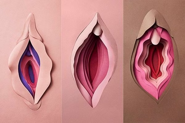 Môi lớn là gì? Tìm hiểu cấu tạo và vai trò quan trọng với vùng kín nữ giới