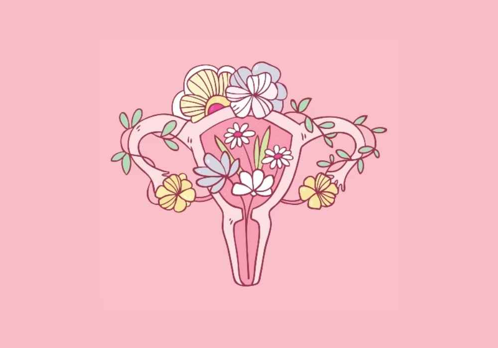 Môi lớn là gì? Tìm hiểu cấu tạo và vai trò quan trọng với vùng kín nữ giới