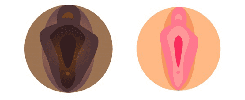 Môi lớn là gì? Tìm hiểu cấu tạo và vai trò quan trọng với vùng kín nữ giới