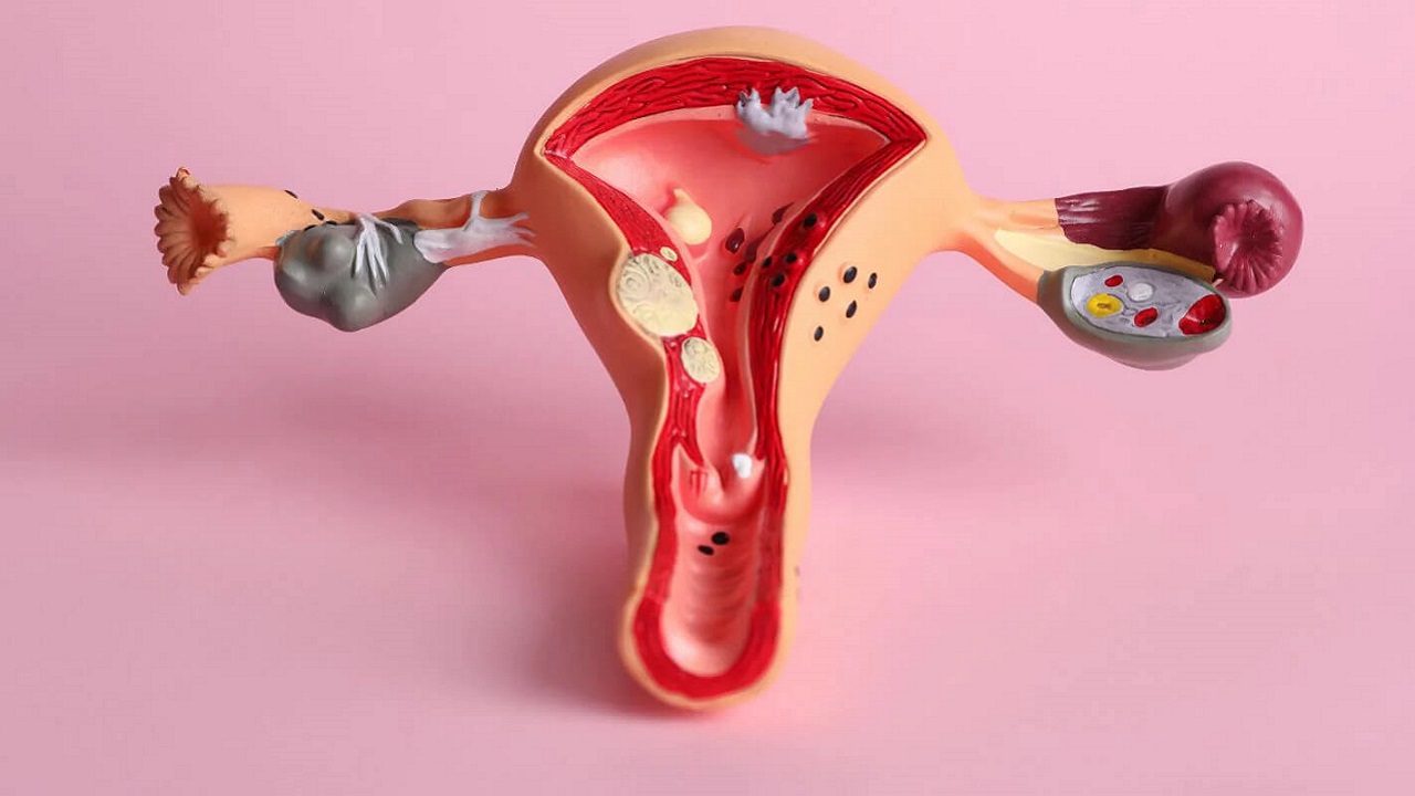 Ăn Gì Để Tăng Estrogen Tự Nhiên? Gợi Ý Trái Cây Và Thực Phẩm Tốt Nhất Cho Nữ Giới