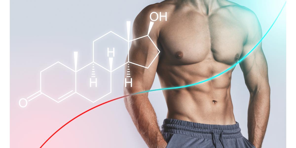 Nam Giới Suy Giảm Testosterone: Lý Do Và Phương Pháp Khôi Phục Phong Độ