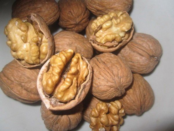 Thực Phẩm Giúp Chất Lượng Tinh Trùng Nên Bổ Sung Vào Thực Đơn Hàng Ngày