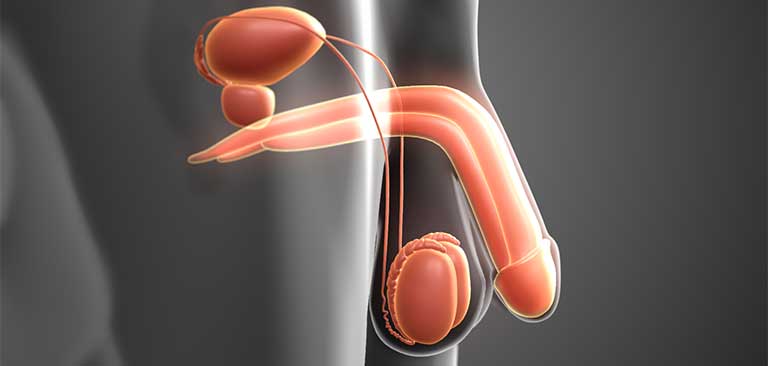 Đàn Ông Có Thể Hết Tinh Trùng Không? Chuyên Gia Giải Đáp Rõ Ràng