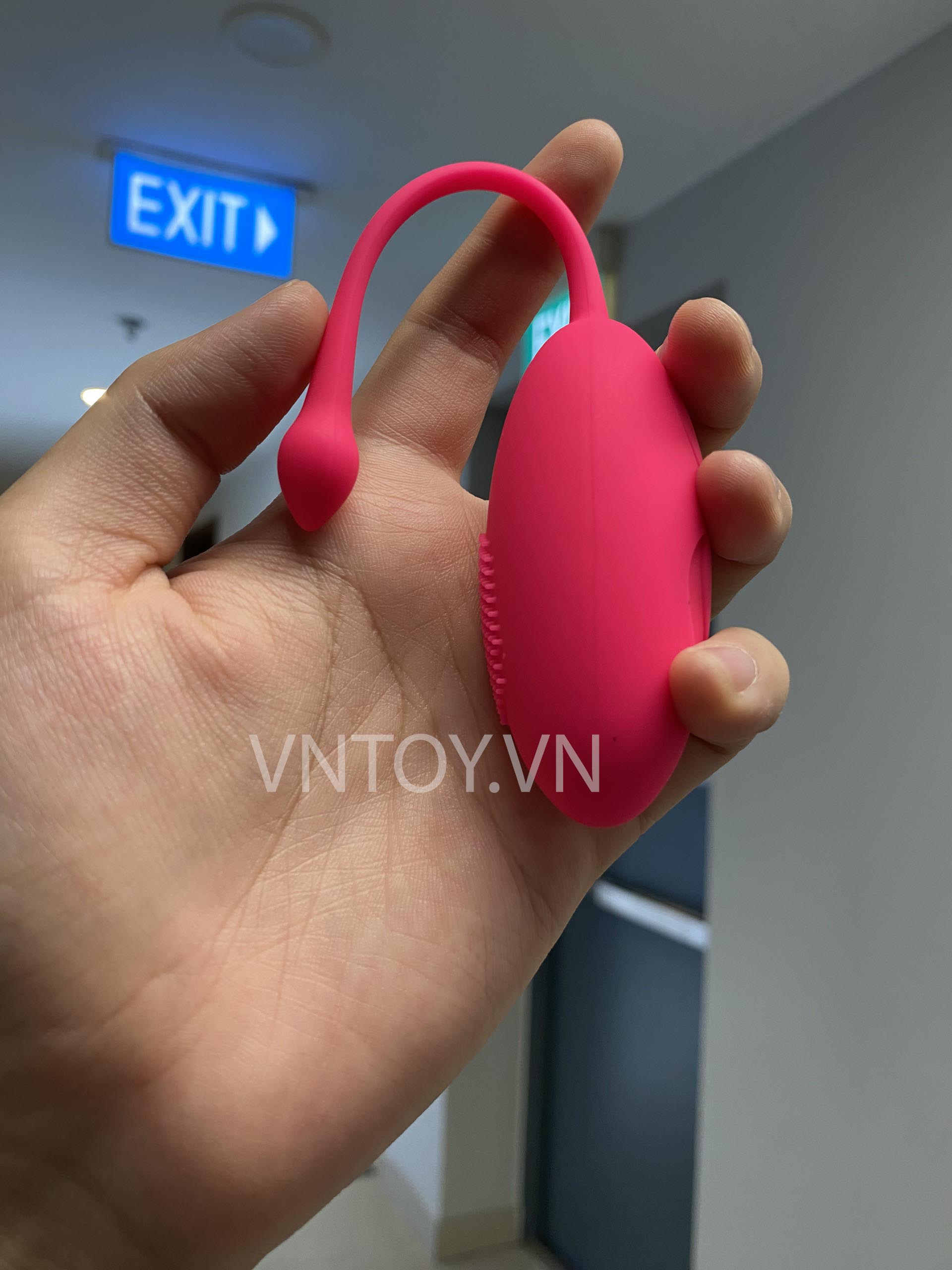 Trứng rung nòng nọc điều khiển từ xa nhiều chế độ rung