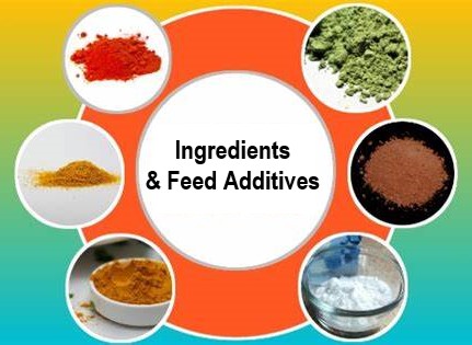 SAIGON NUTRITION CORPORRATION