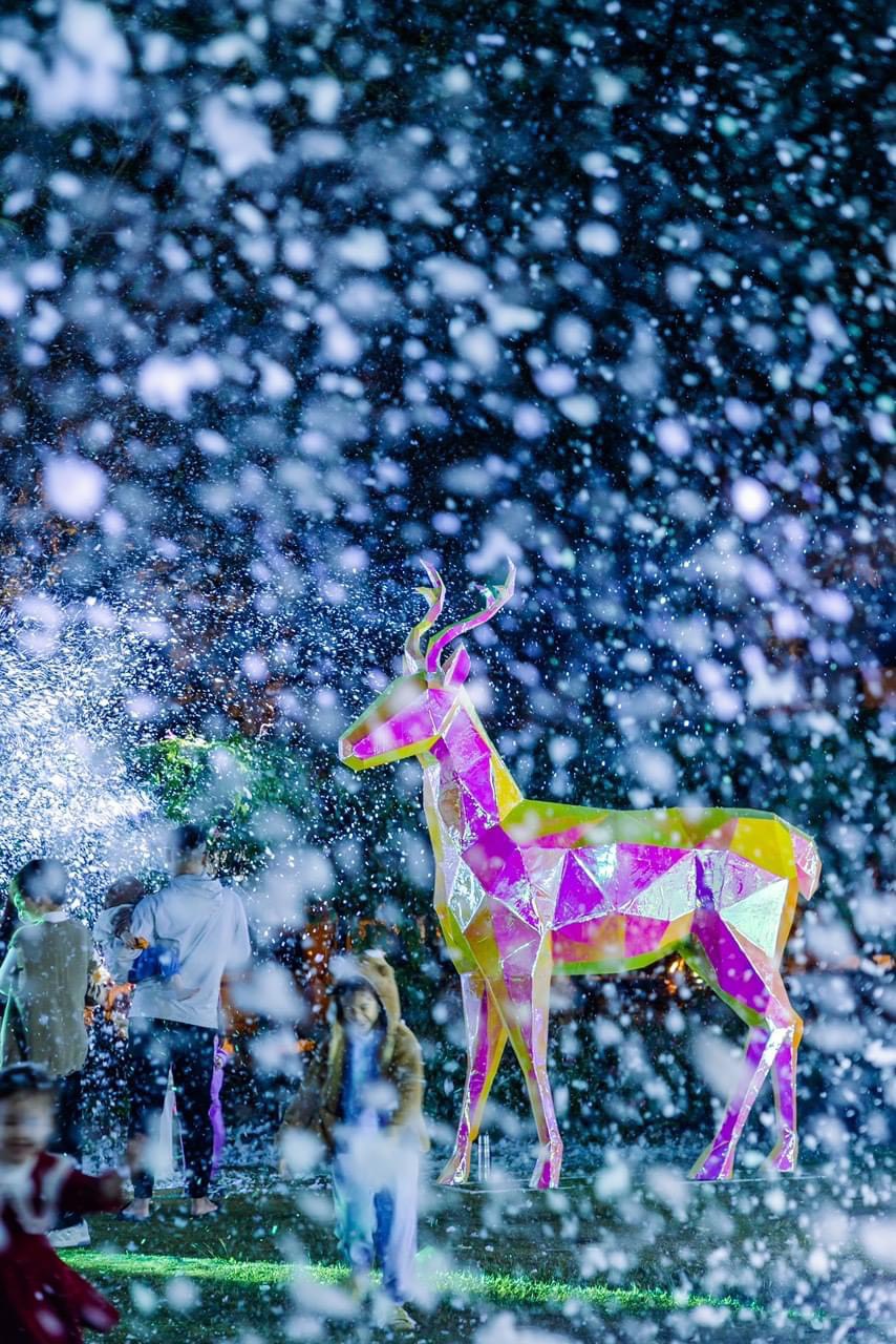 Máy tạo tuyết rơi có dễ sử dụng không?