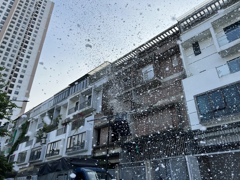 Vì sao nên kết hợp máy tạo tuyết và đèn laser cho buổi chụp ảnh cưới đạo đáo?