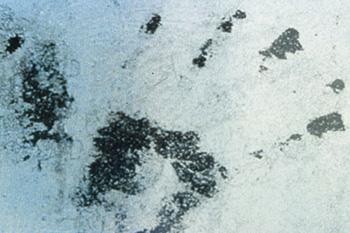 Độ phóng đại 20 lần